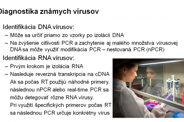 Využitie PCR vo virológii – 2