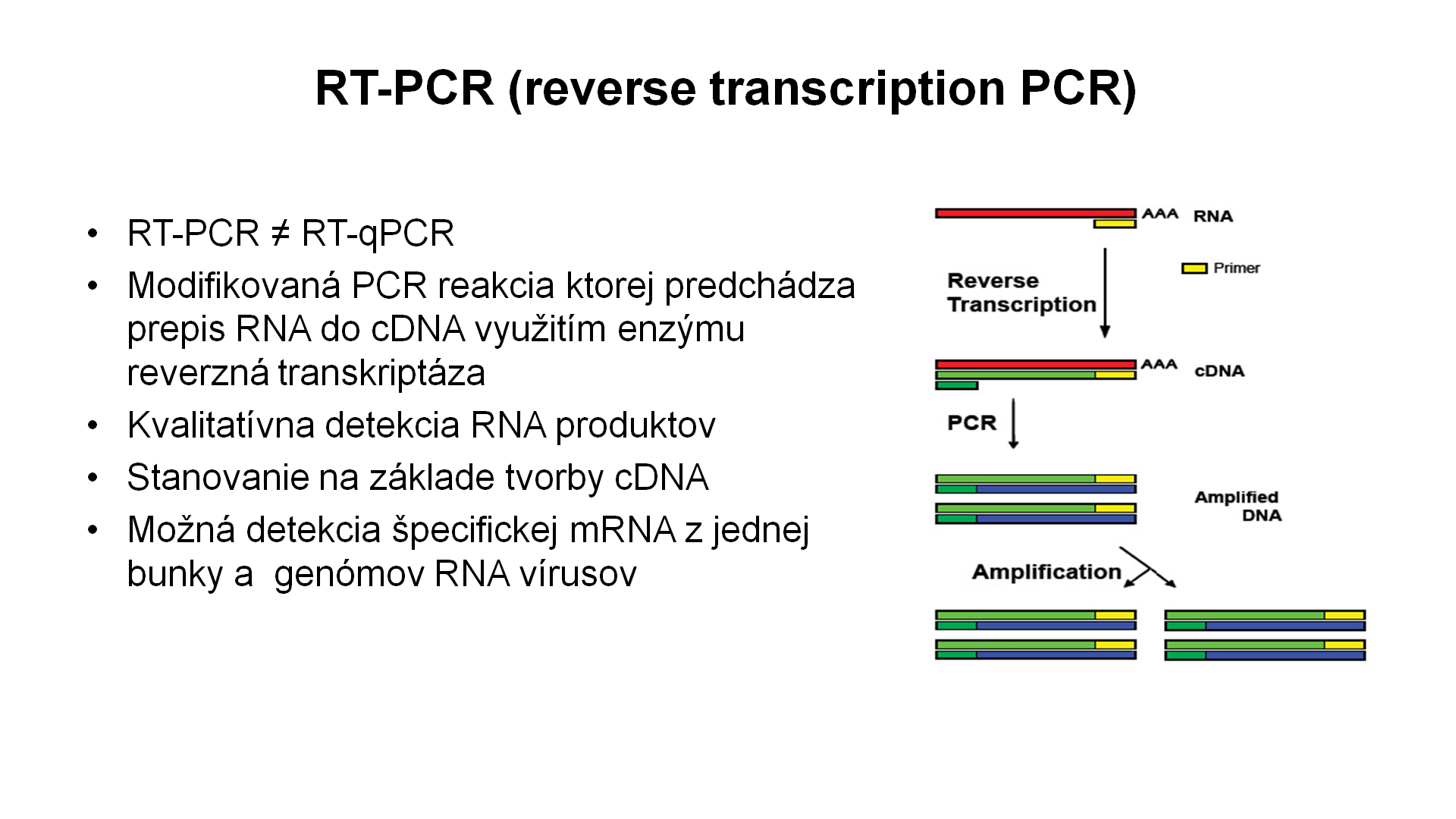 RT-PCR – 1