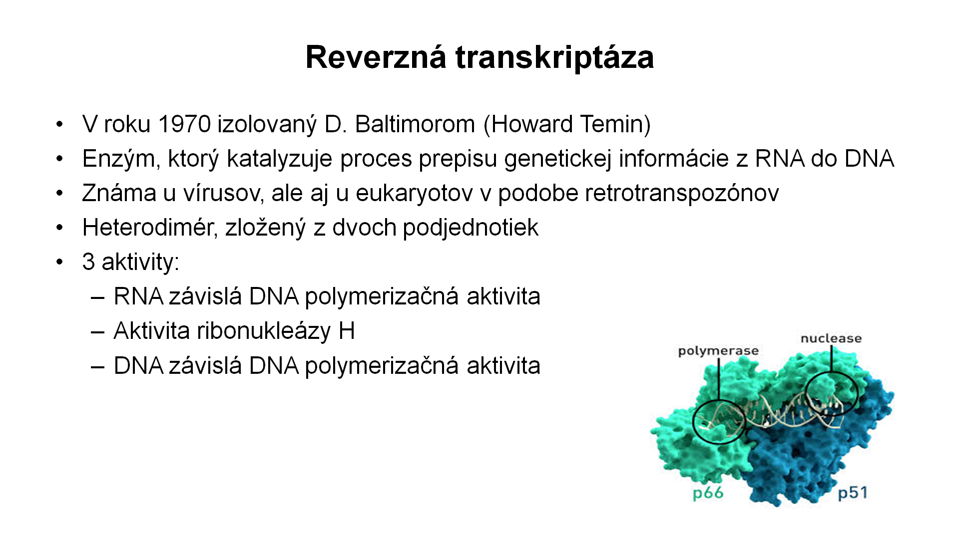 RT-PCR – 4