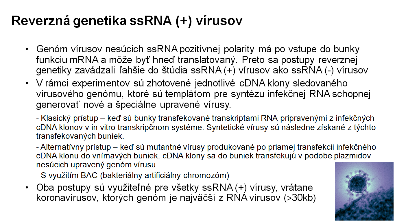 Využitie RT-PCR vo virológii – 3