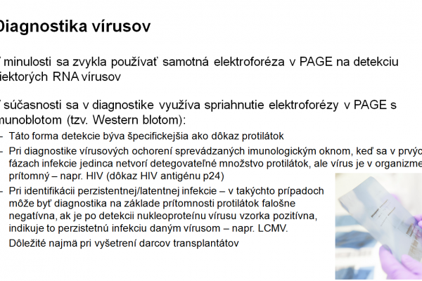 Využitie elektroforézy v PAGE vo virológii – 4